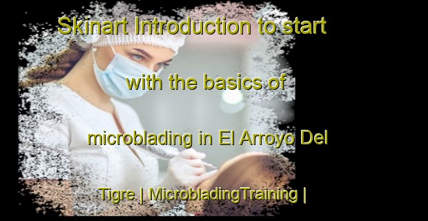 Skinart Introduction to start with the basics of microblading in El Arroyo Del Tigre | MicrobladingTraining | MicrobladingClasses | SkinartTraining-Mexico